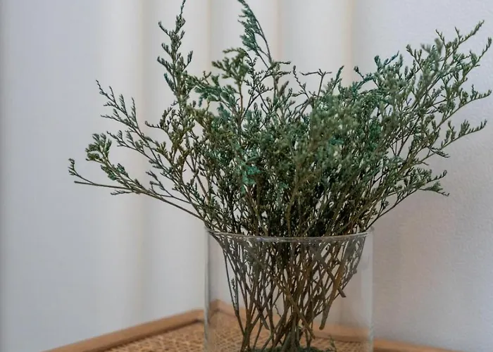 Beco Do Sol, البوفيرا